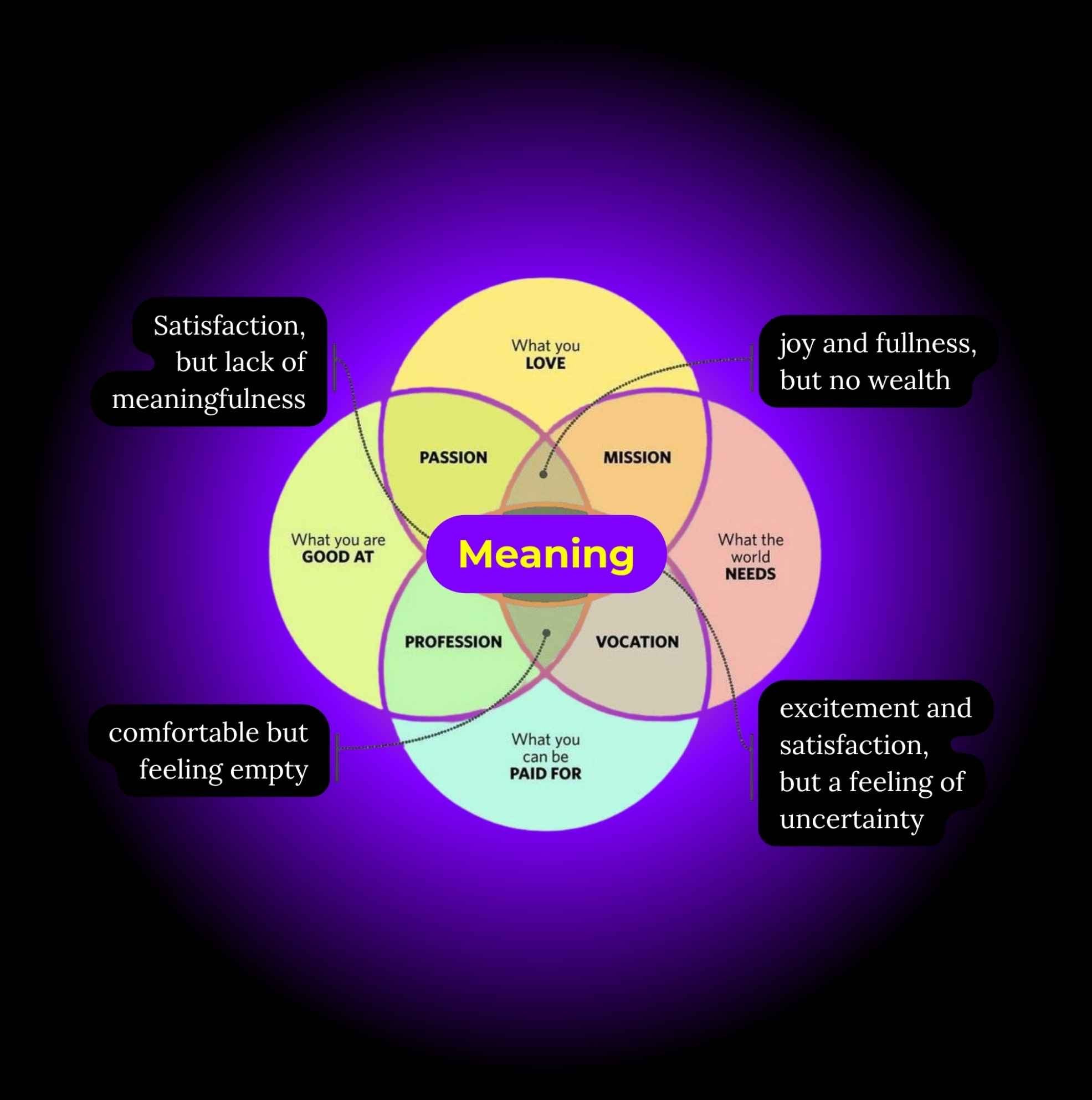 Venn diagram titled 'Meaning' with intersecting circles labeled with various life aspects on a dark background.